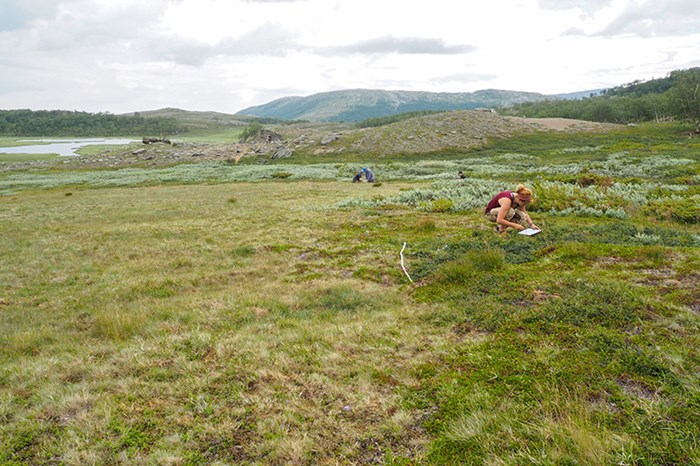 A woman crouches in grassland with mountains in the background. Photo.
