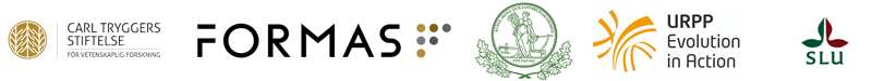 Logotypes for financers. Illustration.