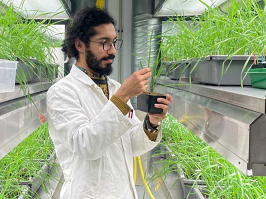 A man in a white lab coat by green plants. Photo.