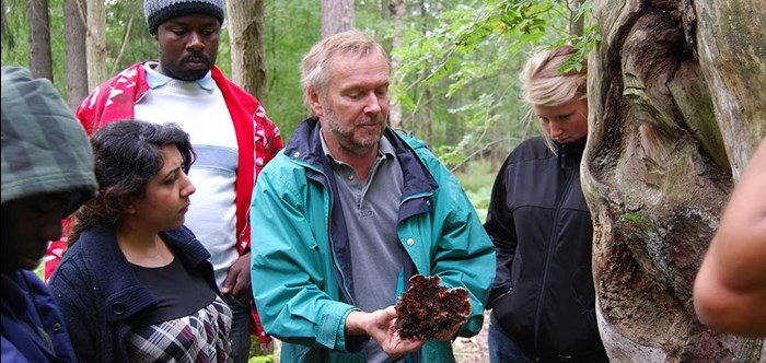 Several people in a forest, photo.