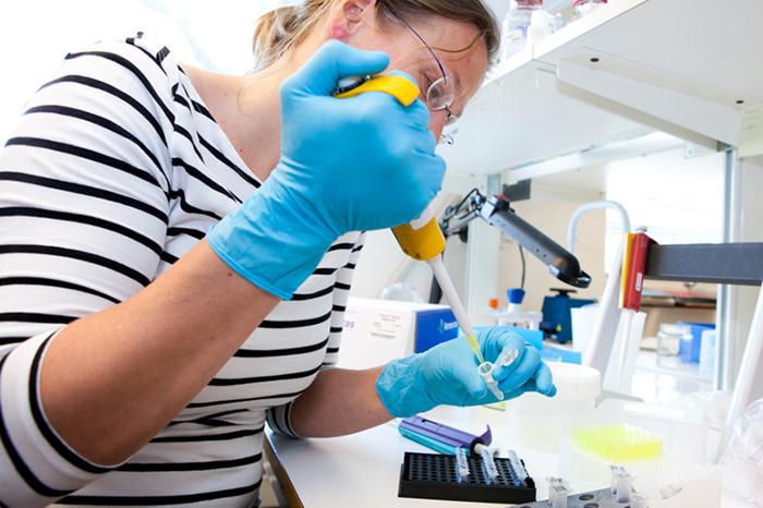 En kvinna pipetterar i ett lab, foto.