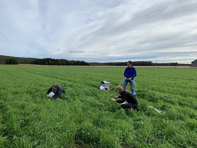 Three people in a ley field taking measurements and samples