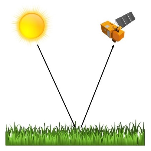 A depiction of satellite remote sensing. Light from the sun reflects of the vegetation and is sensed by the satellite.