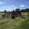 En traktor åker på ett fält och stränglägger gräs. Foto.
