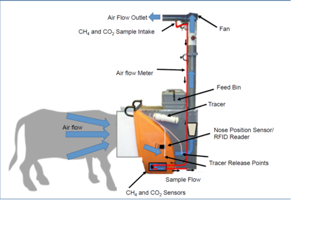 Schematic picture over how an equipment that measures green house gases from cows work. Illustration.