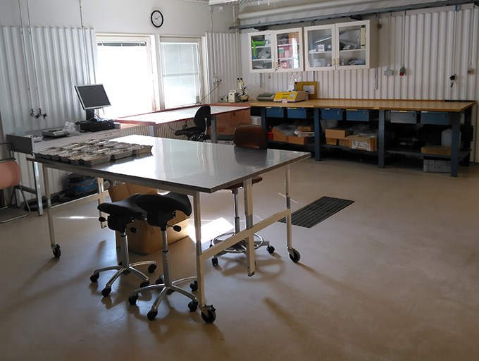 A room with a steel table in the middle. Photo.