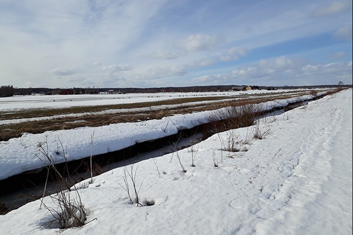 En bäck som går diagonalt över snötäckta fält. Foto.