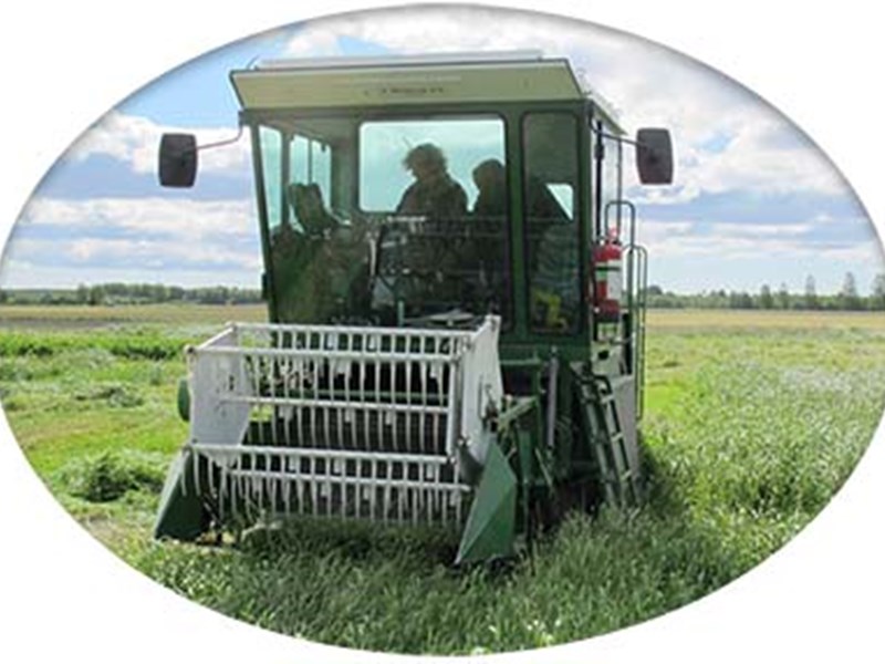 A small machine harvesting grass. Photo.