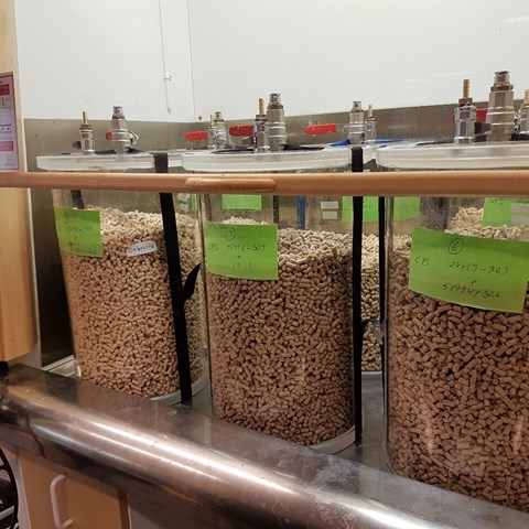 Pellets