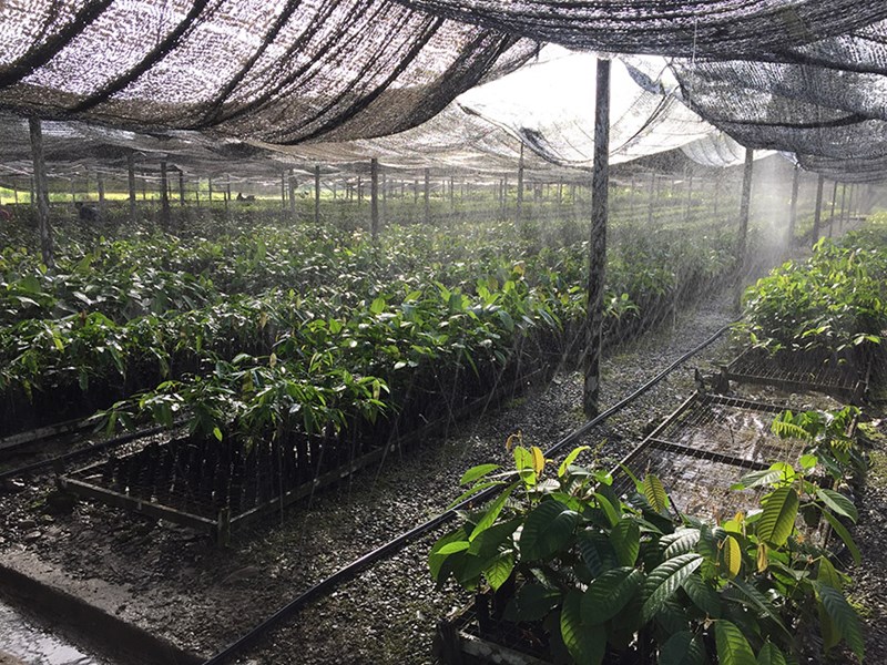 nursery