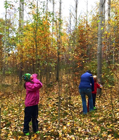 The Northern Forest Forum