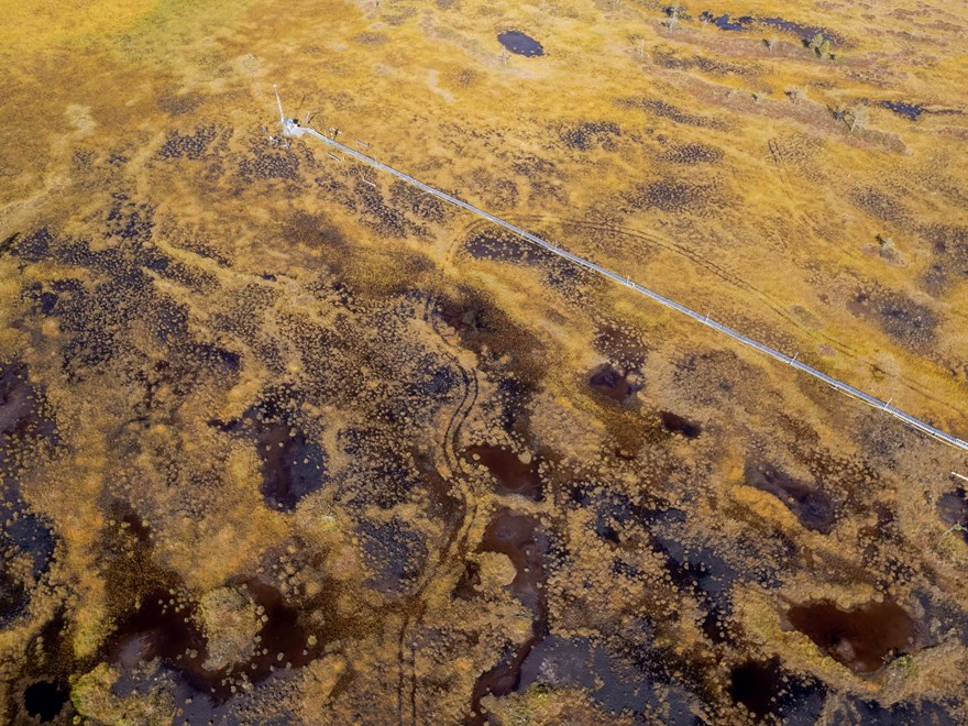 Peatland