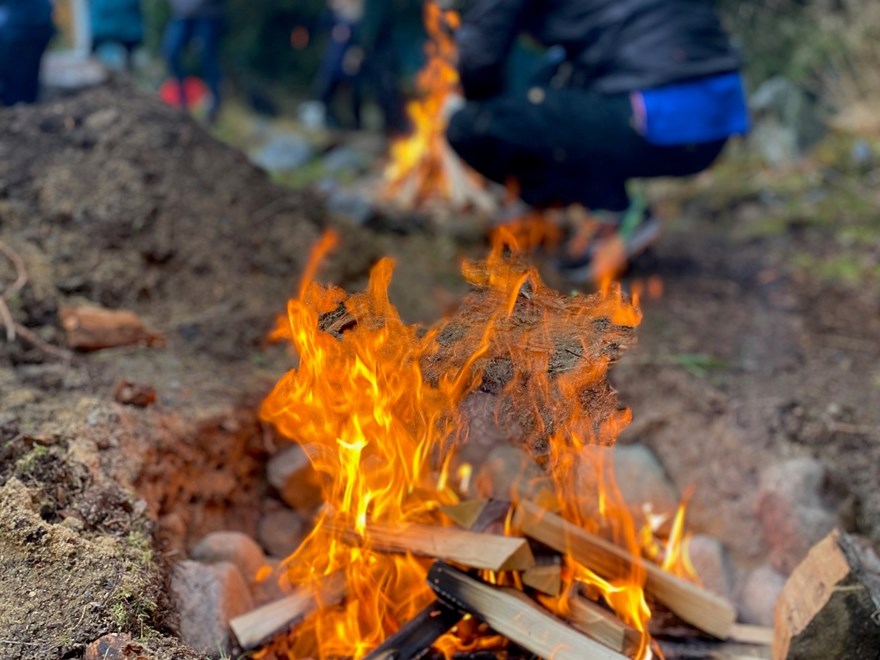 bränder kurs skogshistoria
