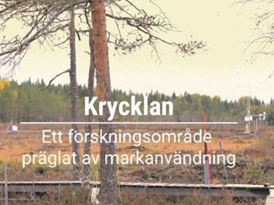 Krycklan video