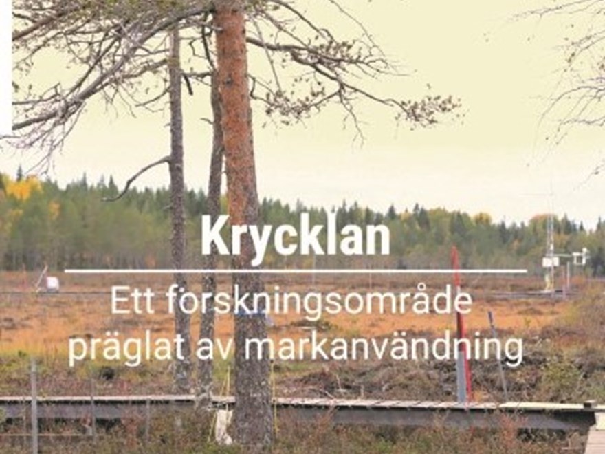 Picture from start page of video Krycklan forest history