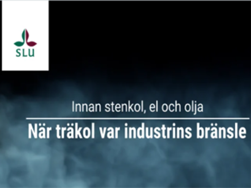 När träkol var industrins bränsle - om kolning
