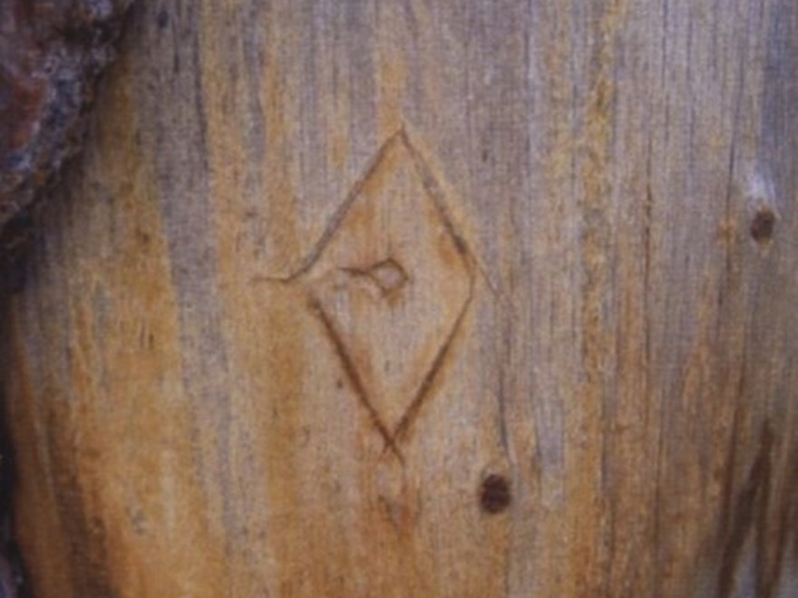 Bläcka med symbol Hålkåsjaure
