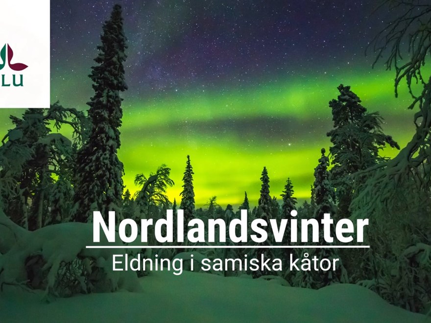 Skog Historia
