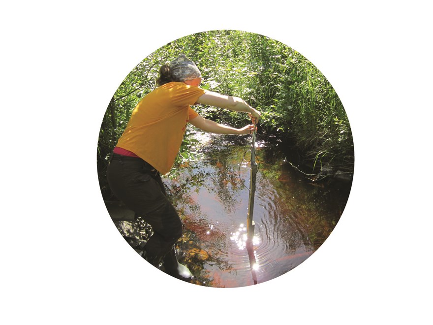 Ida Taberman field work