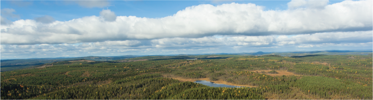 Boreal landscape