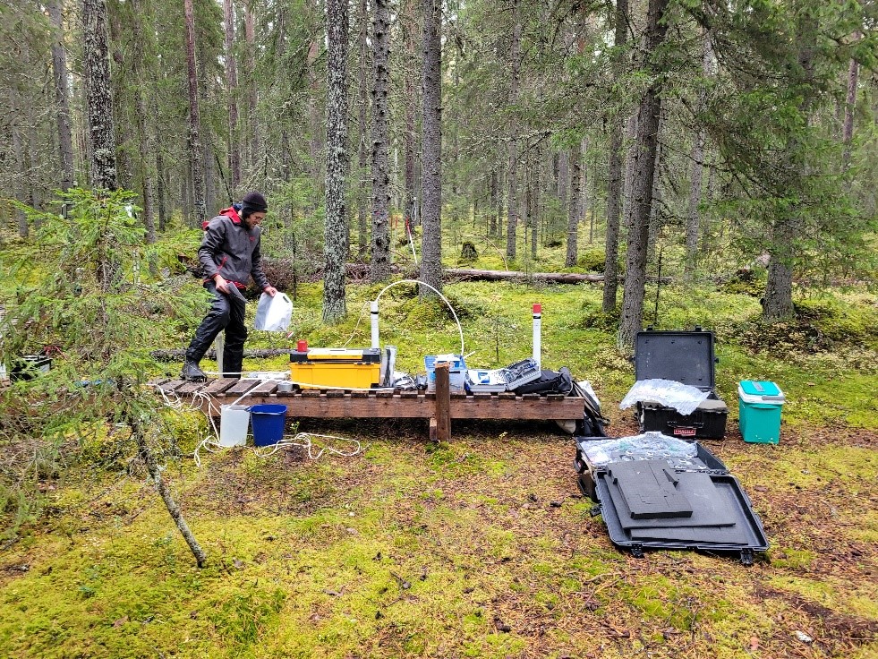 Groundwater sampling in the Krycklan Catchment