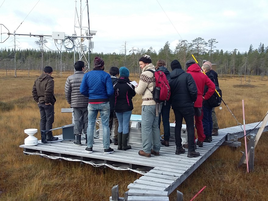 researchers in the fields