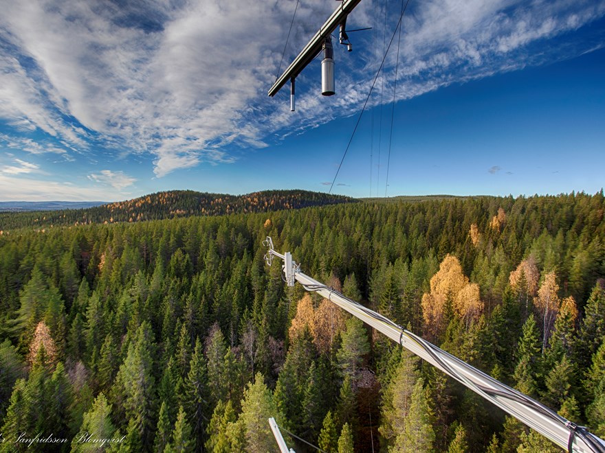 ICOS mast Svartberget