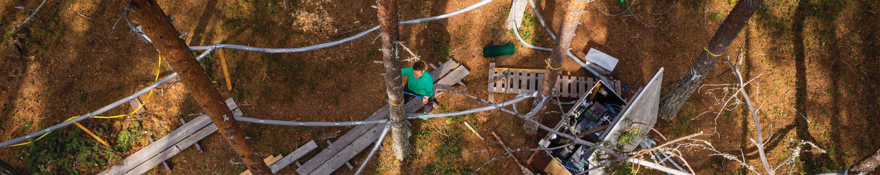 Forest research