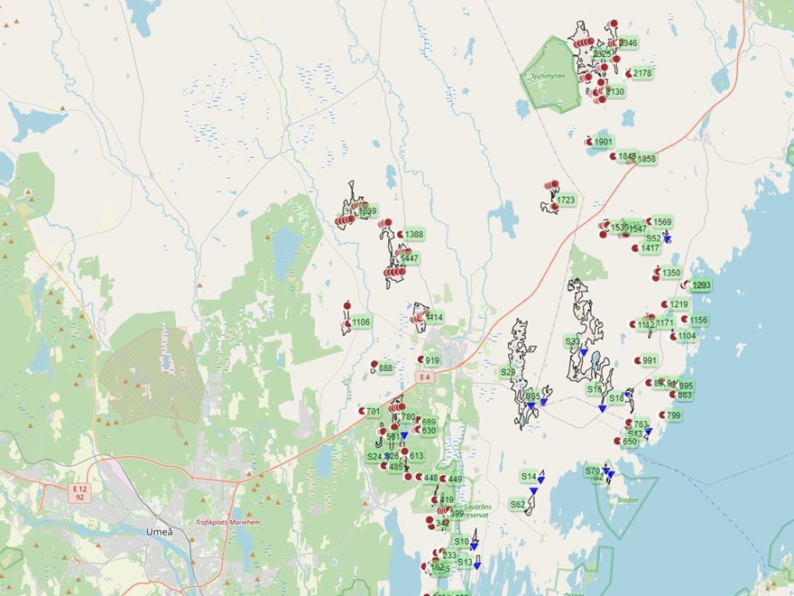 interactive map