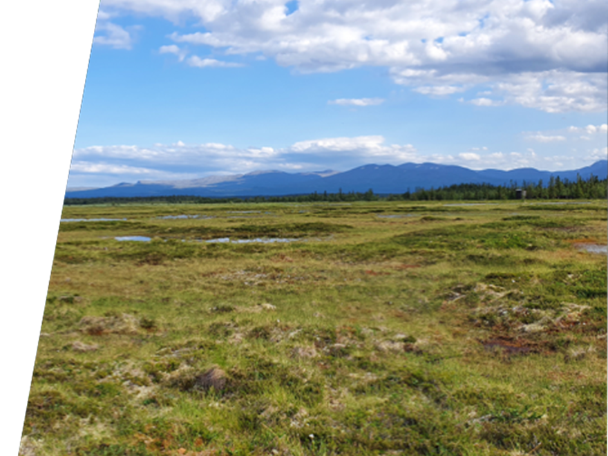 Field work soil biogeochemistry