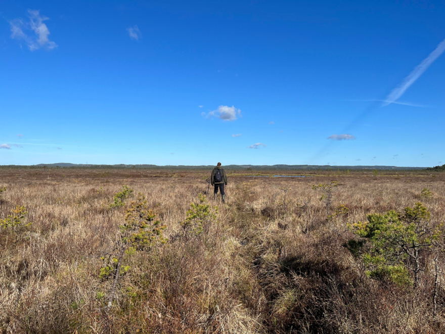 Field work soil biogeochemistry