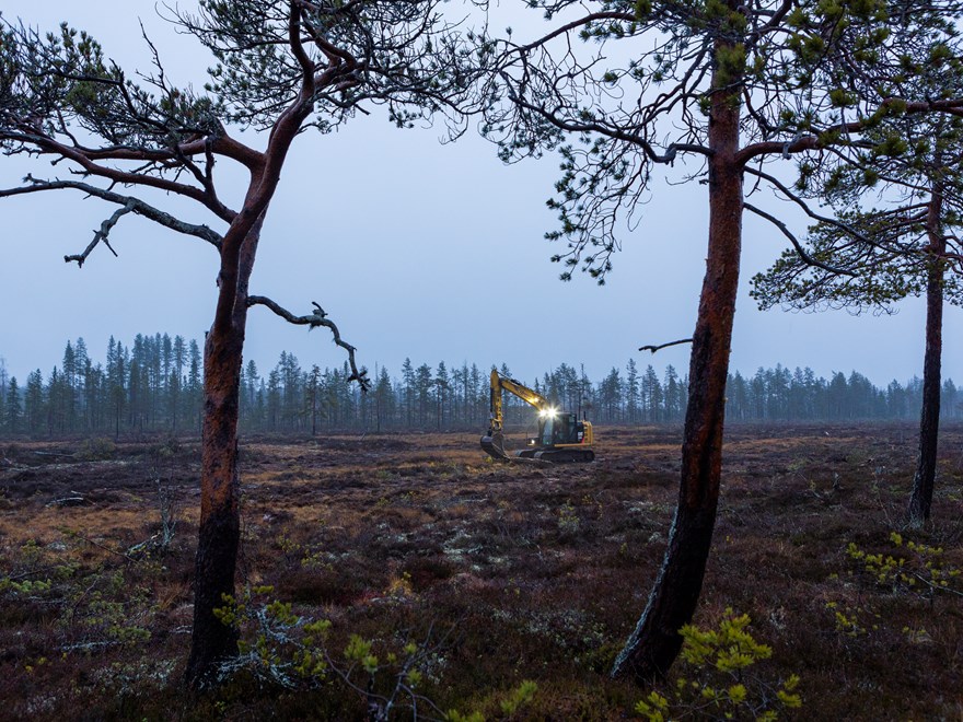 wetlandrestoration