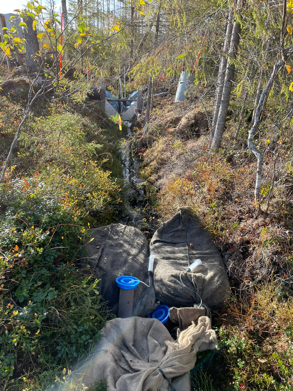 Biochar experiement Trollberget