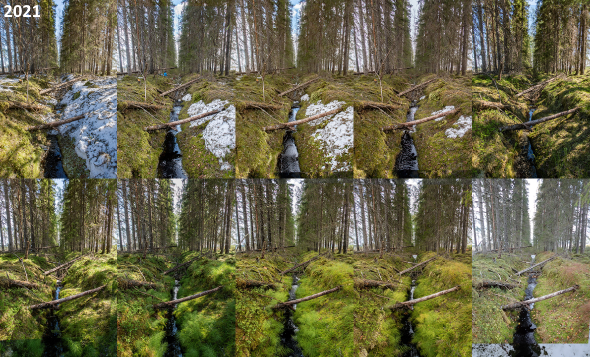 seasonal changes_riparian zone.png