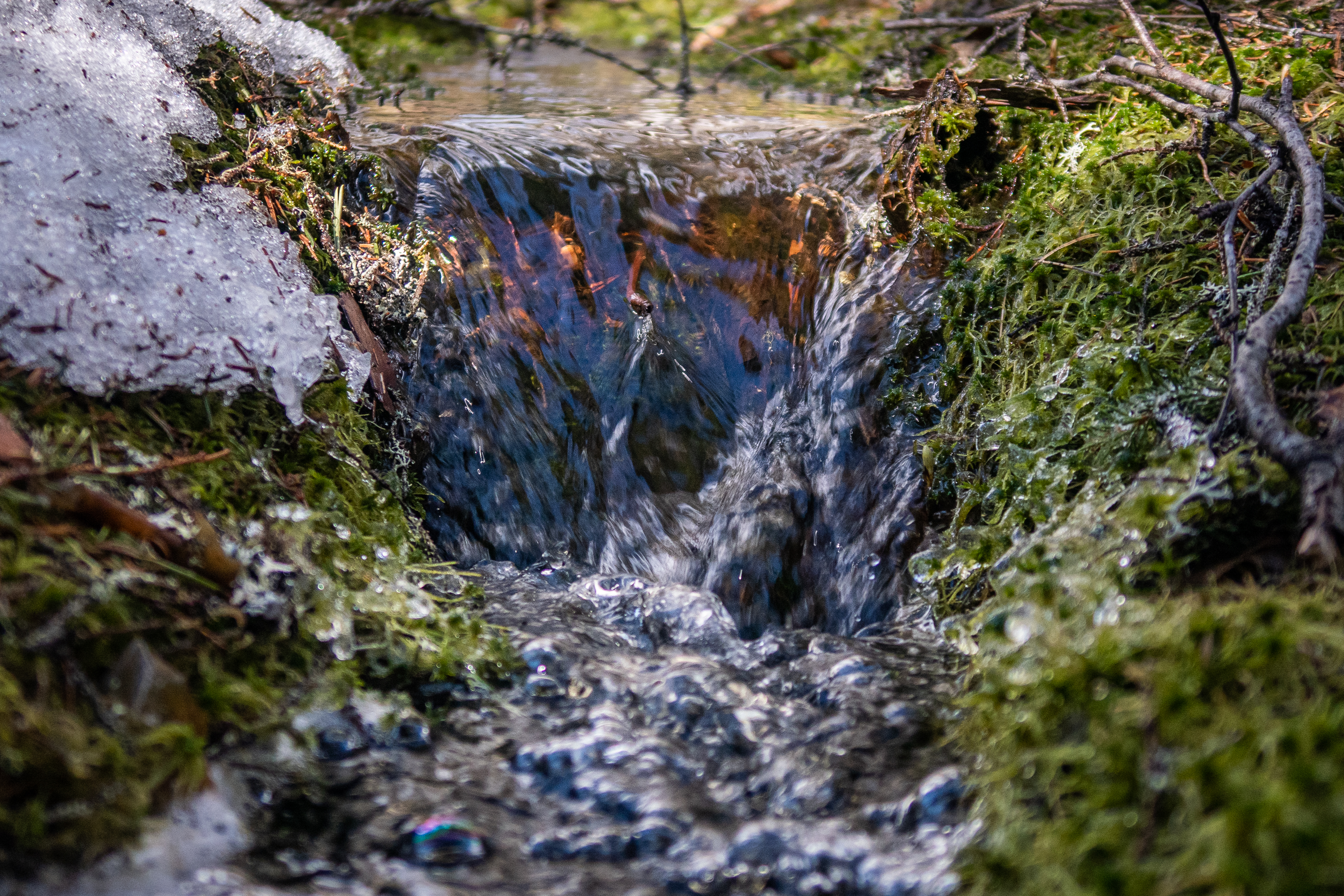stream_closeup.jpg