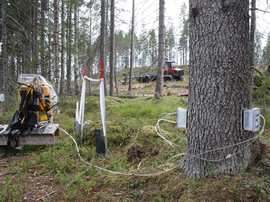 Tree stem gas measurements in Riparian Buffer zone