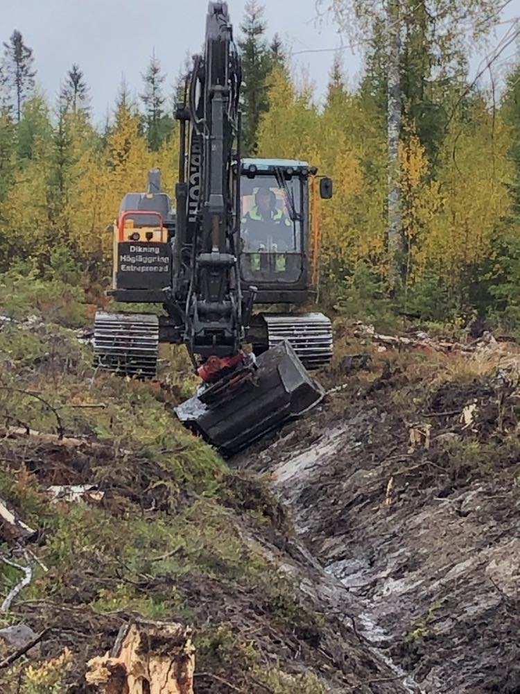 Trollberget ditch clearning