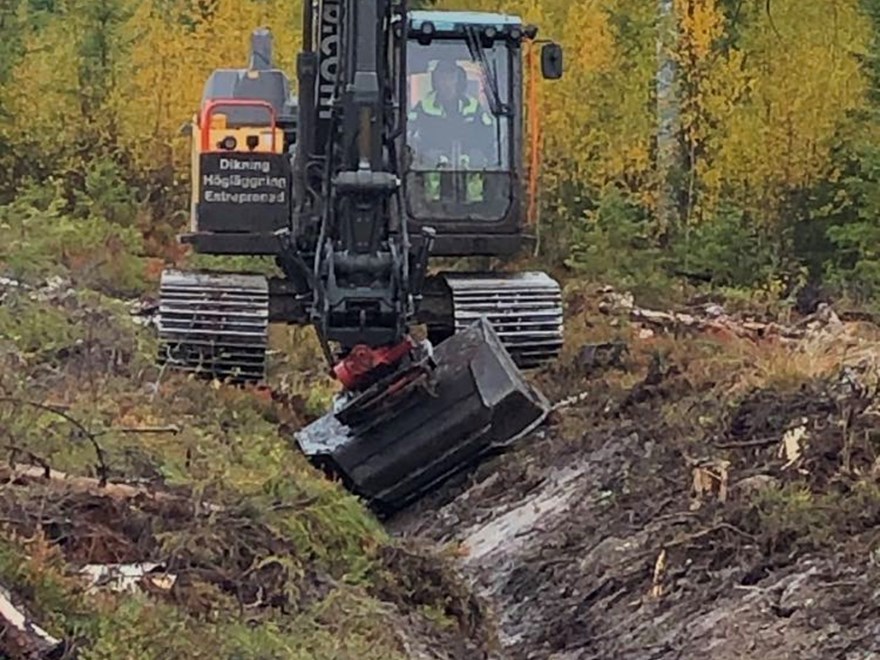 Trollberget ditch clearning