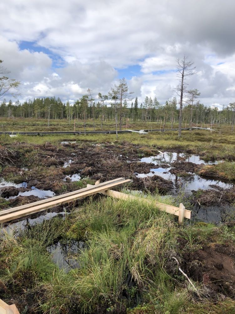 7.Trollberget våtmarksrestaurering.jpg