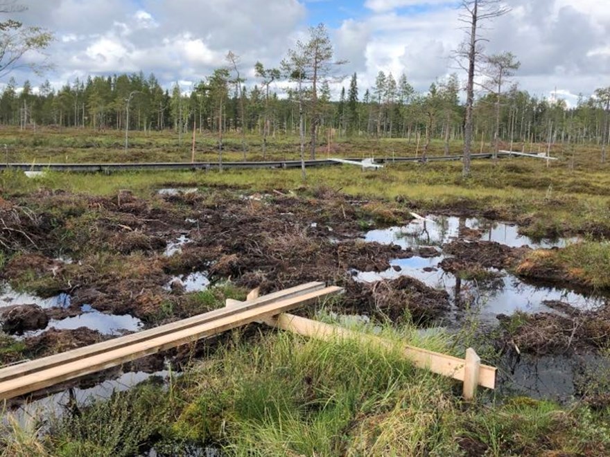 Trollberget våtmarksrestaurering