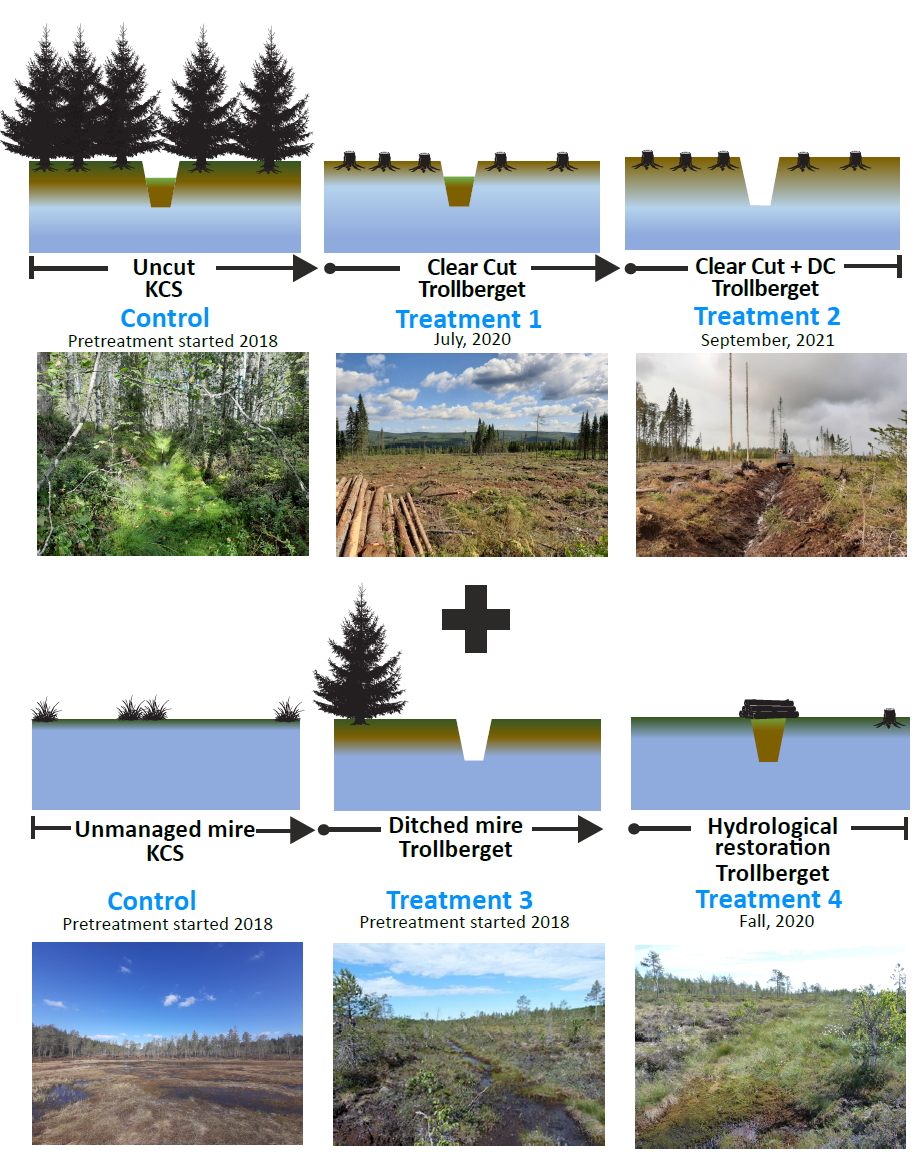 Schematic showing time and types of restoration treatments