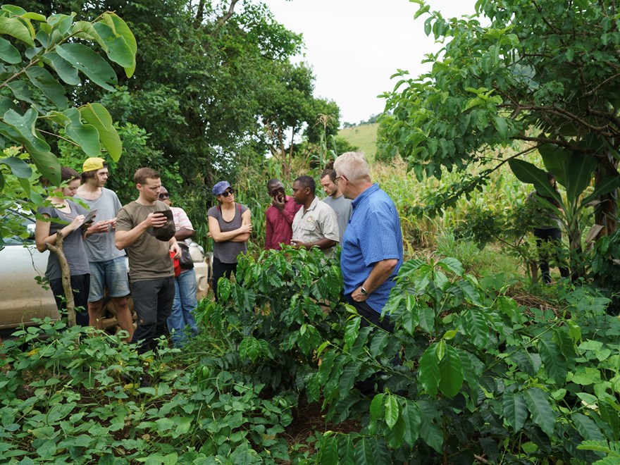 Borneo Field work