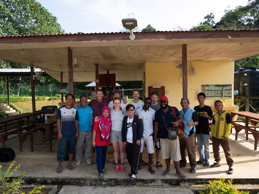 Borneo field work
