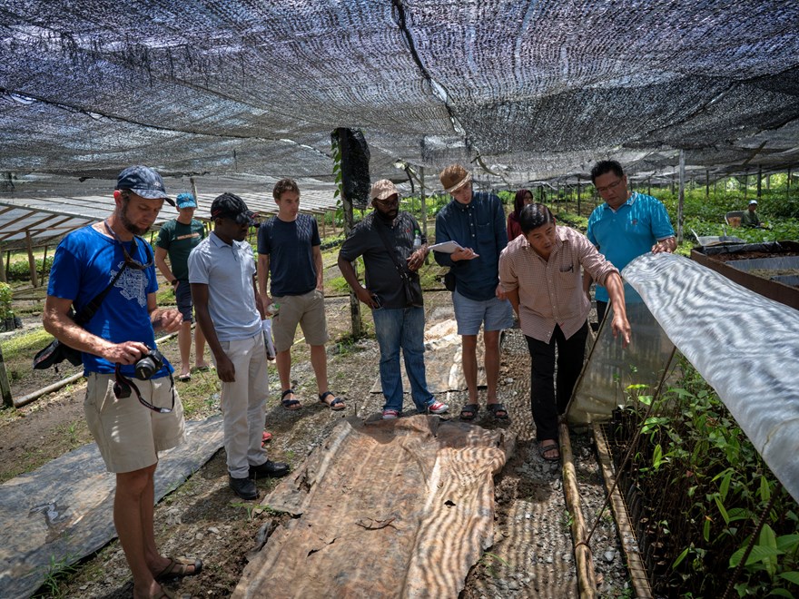  Borneo field work