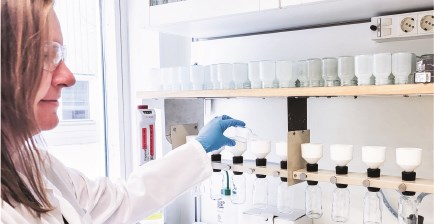 Lab work forest vegetation ecology 