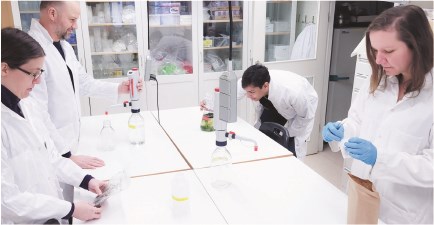 Lab work forest vegetation ecology 