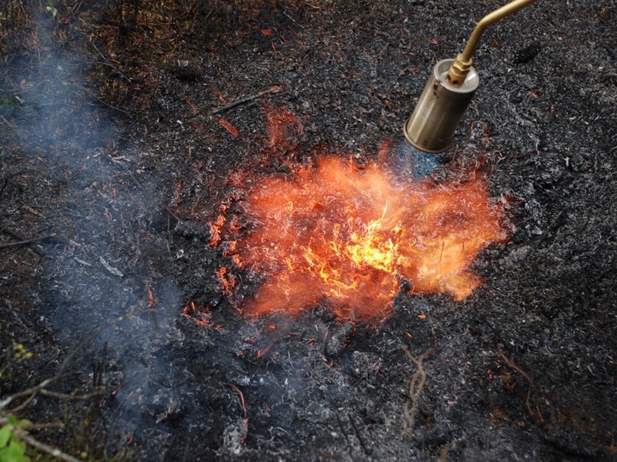 Fire experiment