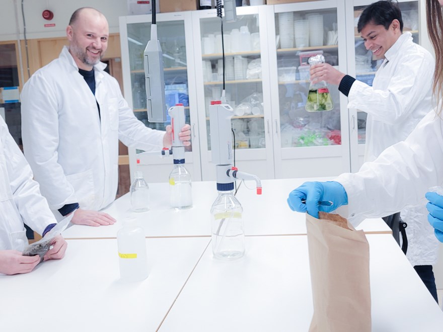 Lab 