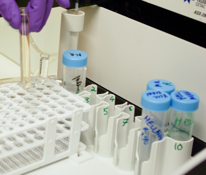 Lab analysis