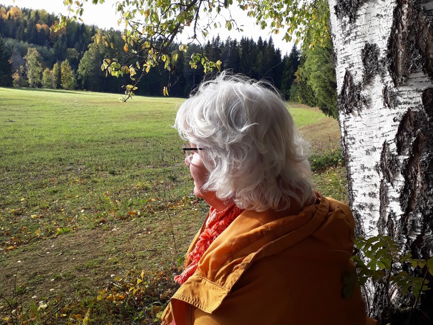 Ann is sitting under a tree